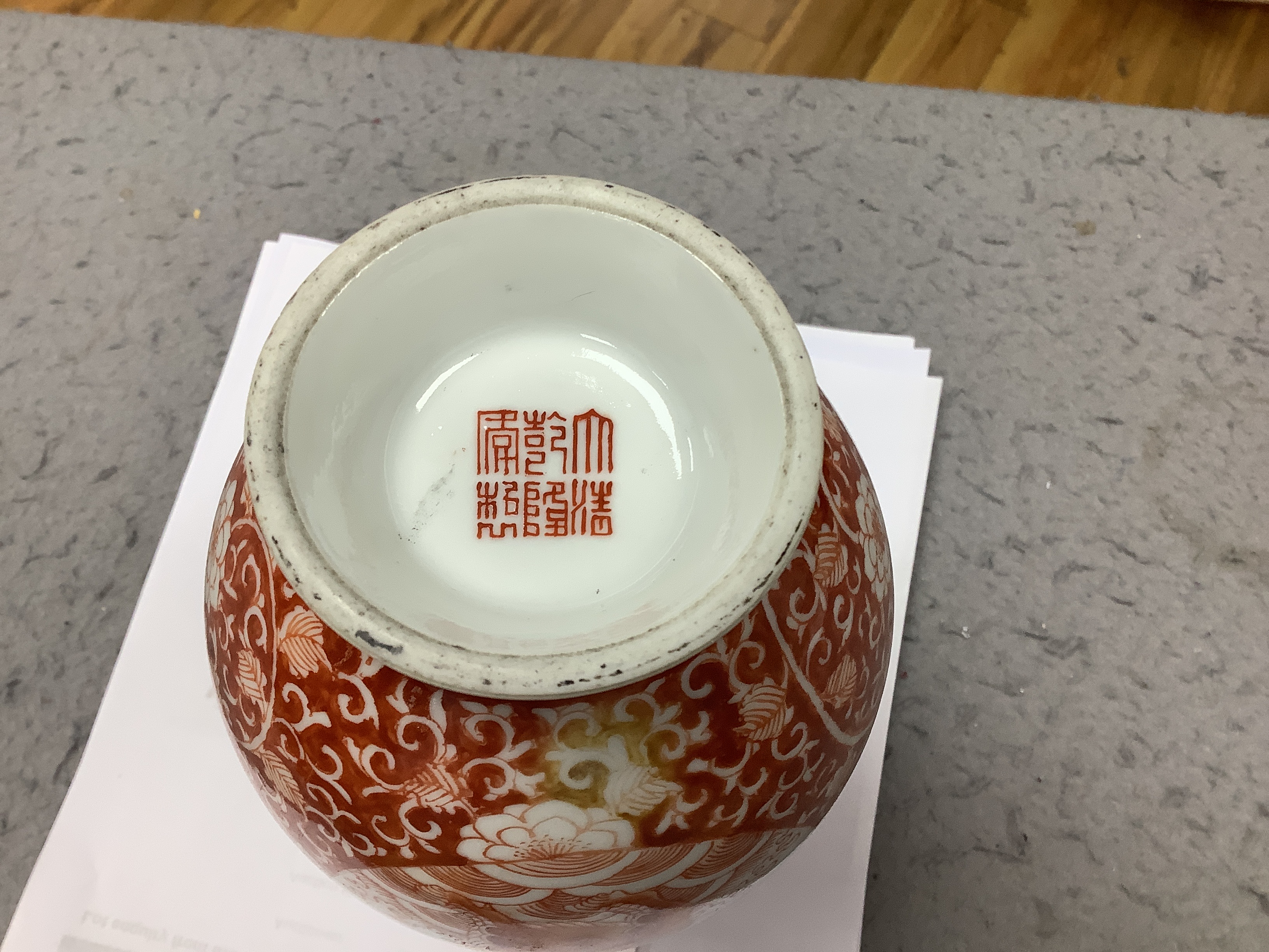 A Chinese iron red enamelled 'mythical beast' vase, early 20th century, 21cm high
